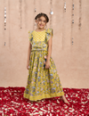 Lil Drama Girls Choli with Ghaghra Set