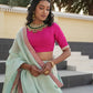 Rani Pink & Sky Ethnic Lehenga