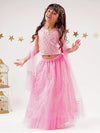 Bollywood Tadka Pink Ghagra Choli Dupatta Set For Girls