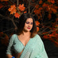 Arum Pastel Green Georgette Saree - Ensembles