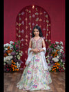 Embroidered Mirror Work Blouse And Floral Lehenga Set With Sheer Dupatta – Perfect For Weddings, Festivals, And Parties