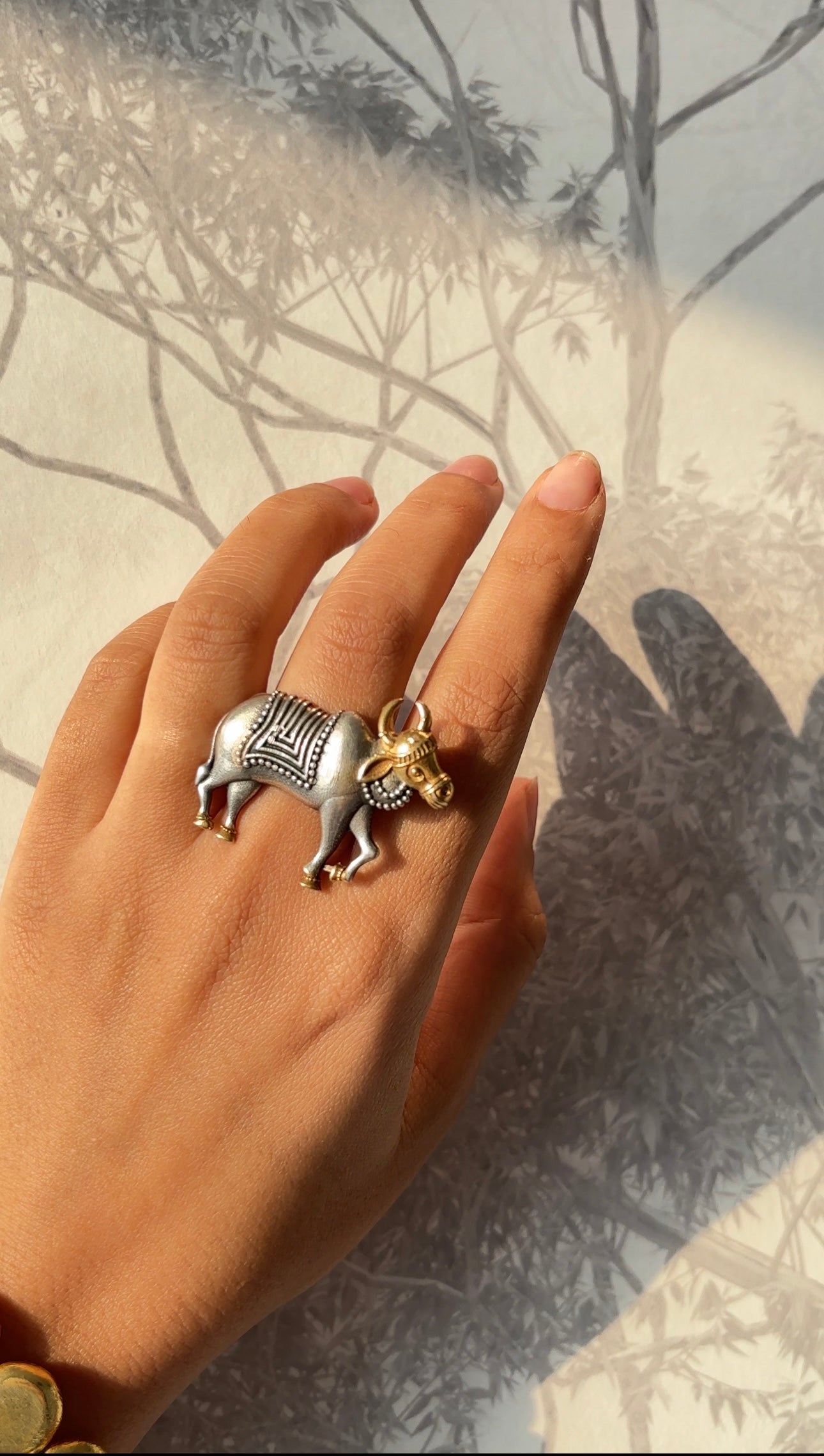 Nandi Ring