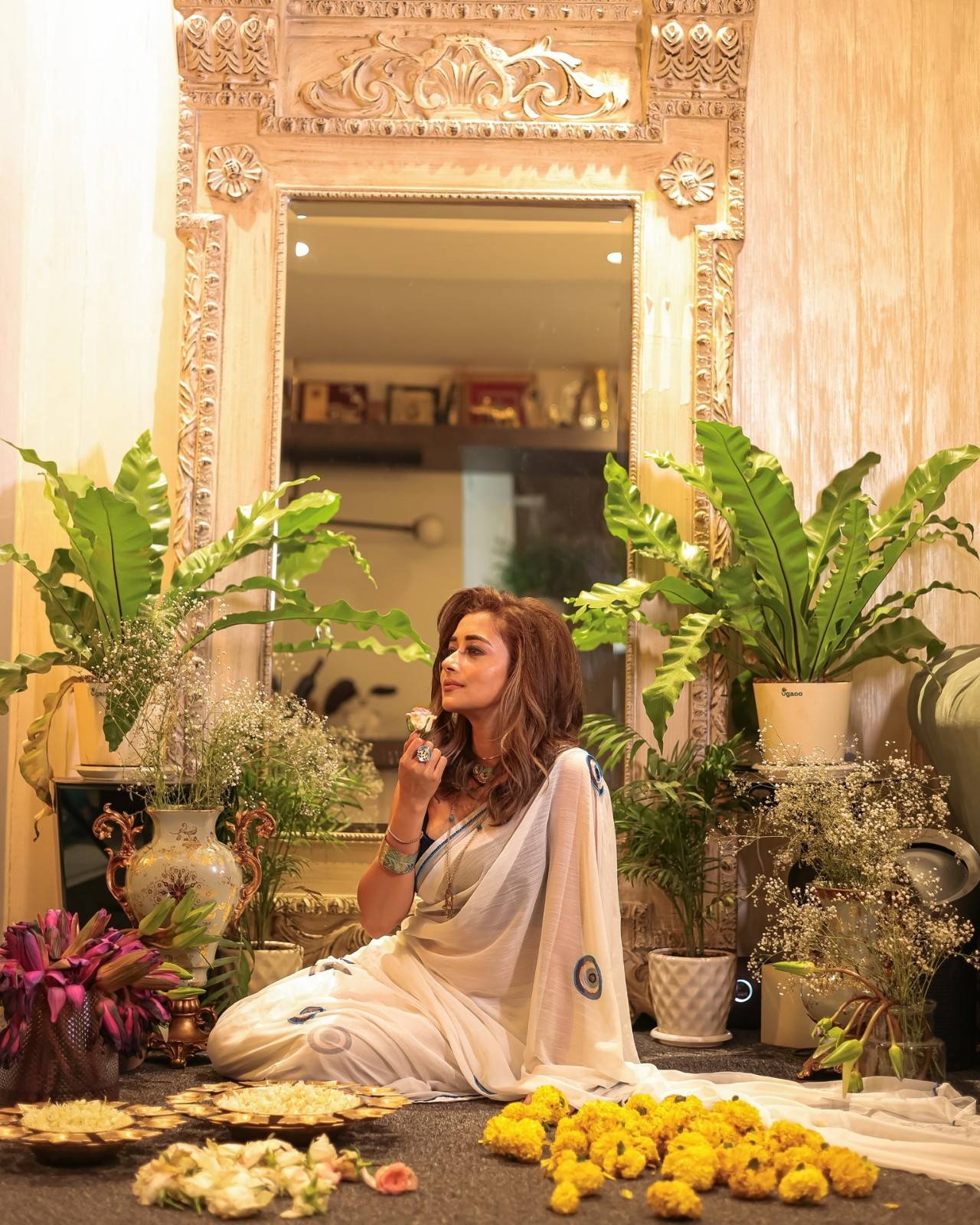 Eviel Eye Saree