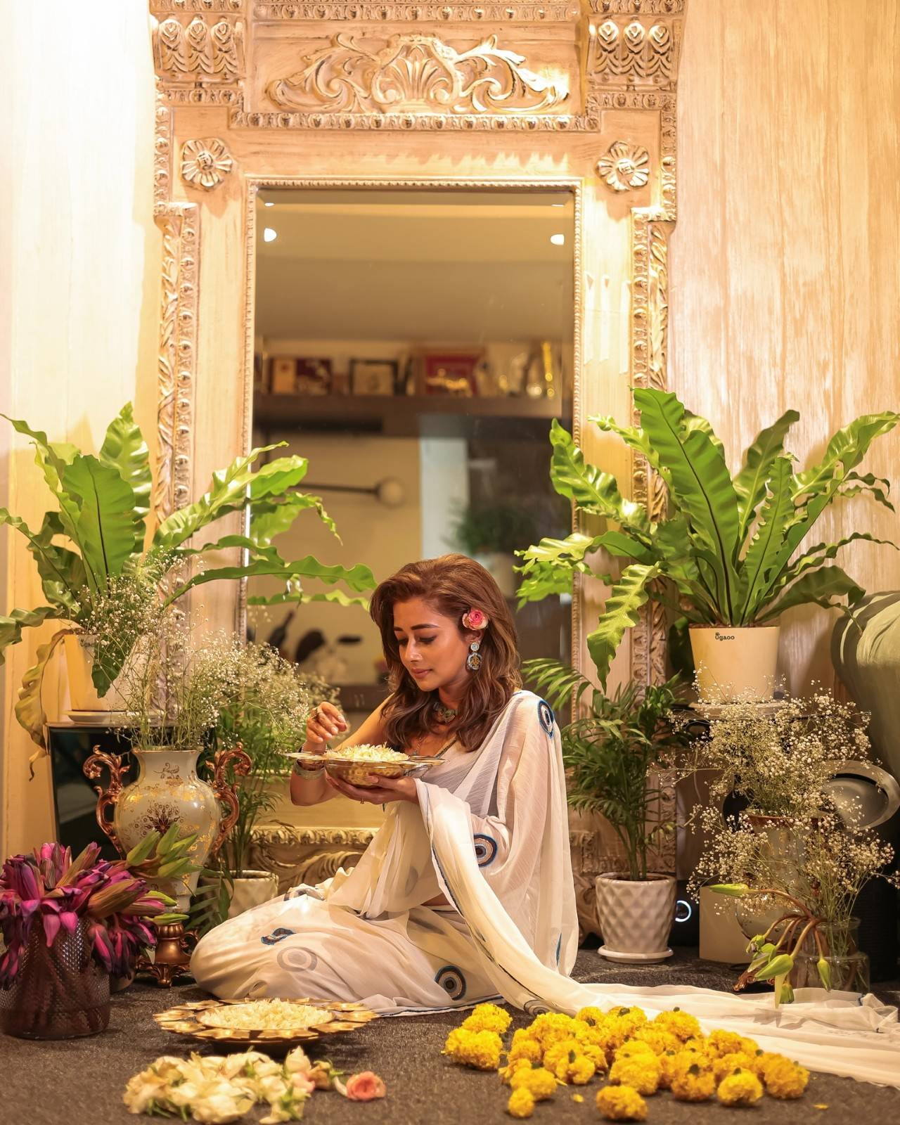 Eviel Eye Saree